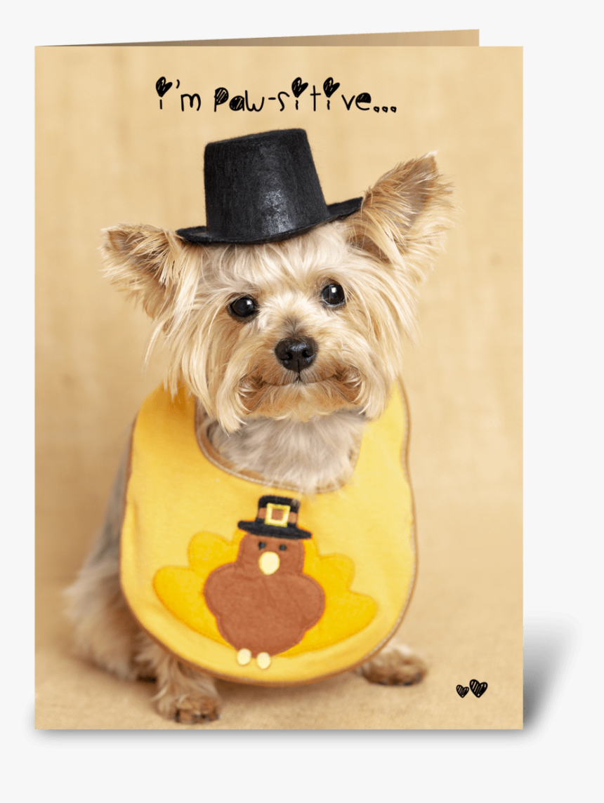 Thanksgiving Puppy Greeting Card, HD Png Download