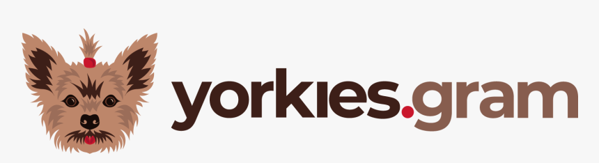 Yorkies Gram - Graphic Design, HD Png Download