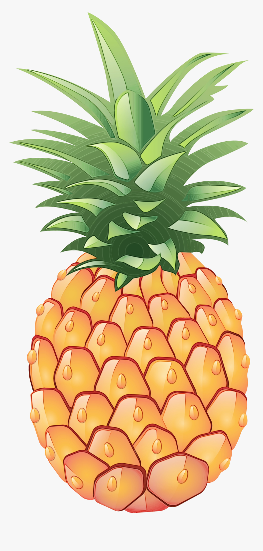 Pineapple Image Clipart, HD Png Download