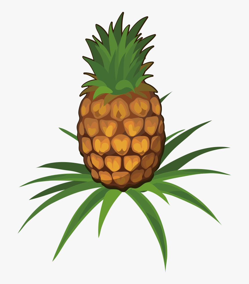 Juice Pineapple Fruit Clip Art Cartoon Ⓒ - Pineapple On Plant Png, Transparent Png