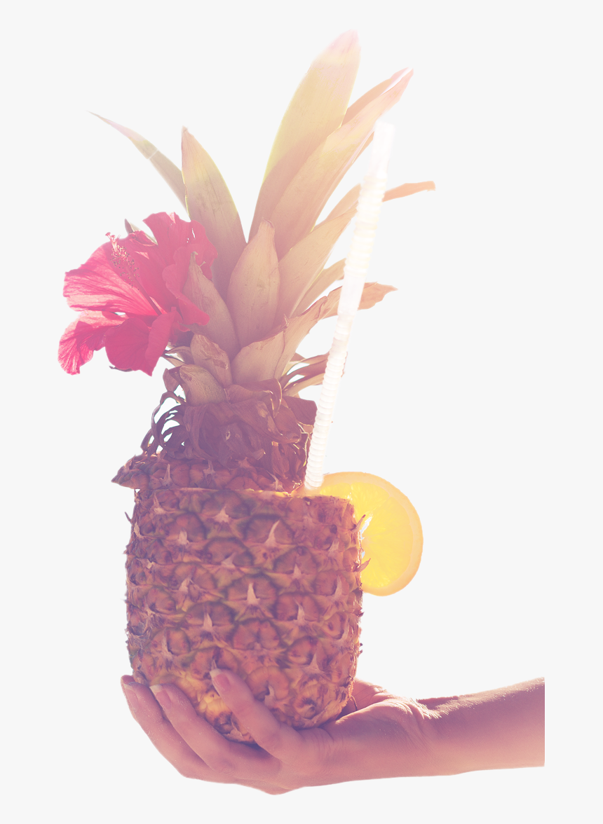 Happy Png Pineapple Legs - Sé Una Piña Ponte De Pie Ponte, Transparent Png