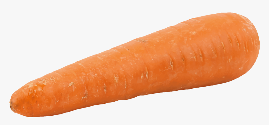 Orange,wild Carrot,carrot - 1 Carrot, HD Png Download
