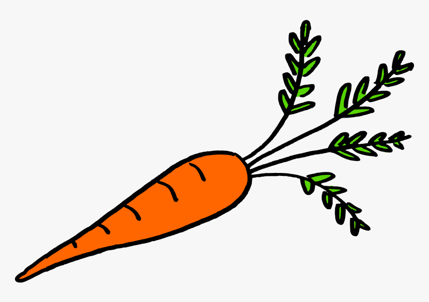 Potatoes Drawing Underground Vegetables That Grow Underground Roots, HD Png Download