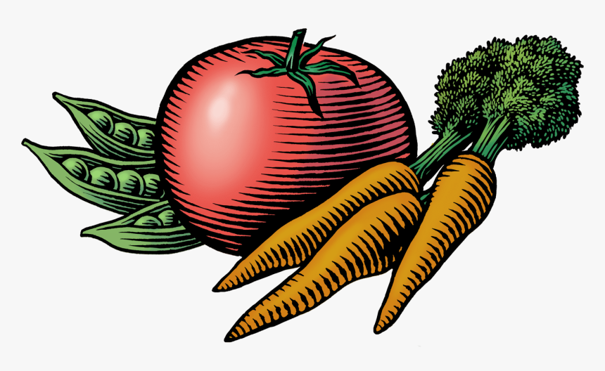 Transparent Carrot Clipart Png - Farmers Market Images Clip Art, Png Download