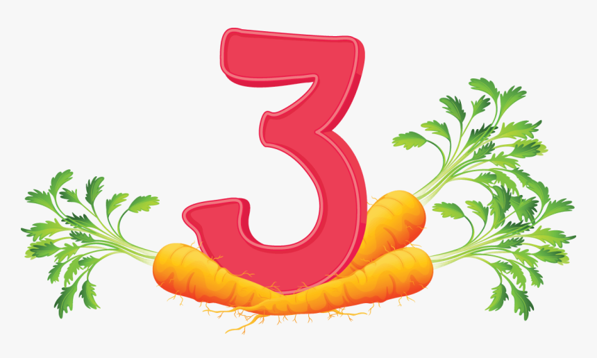 Carrots Vector, HD Png Download