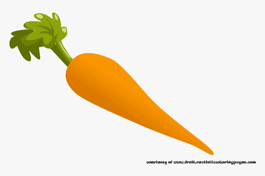 Carrots Clipart Edible Root - Carrot, HD Png Download