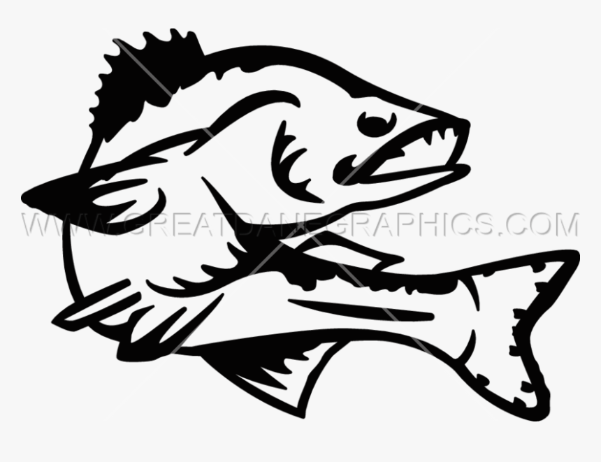 Walleye Vector Clipart Black And White Stock - Walleye Clipart Black And White, HD Png Download