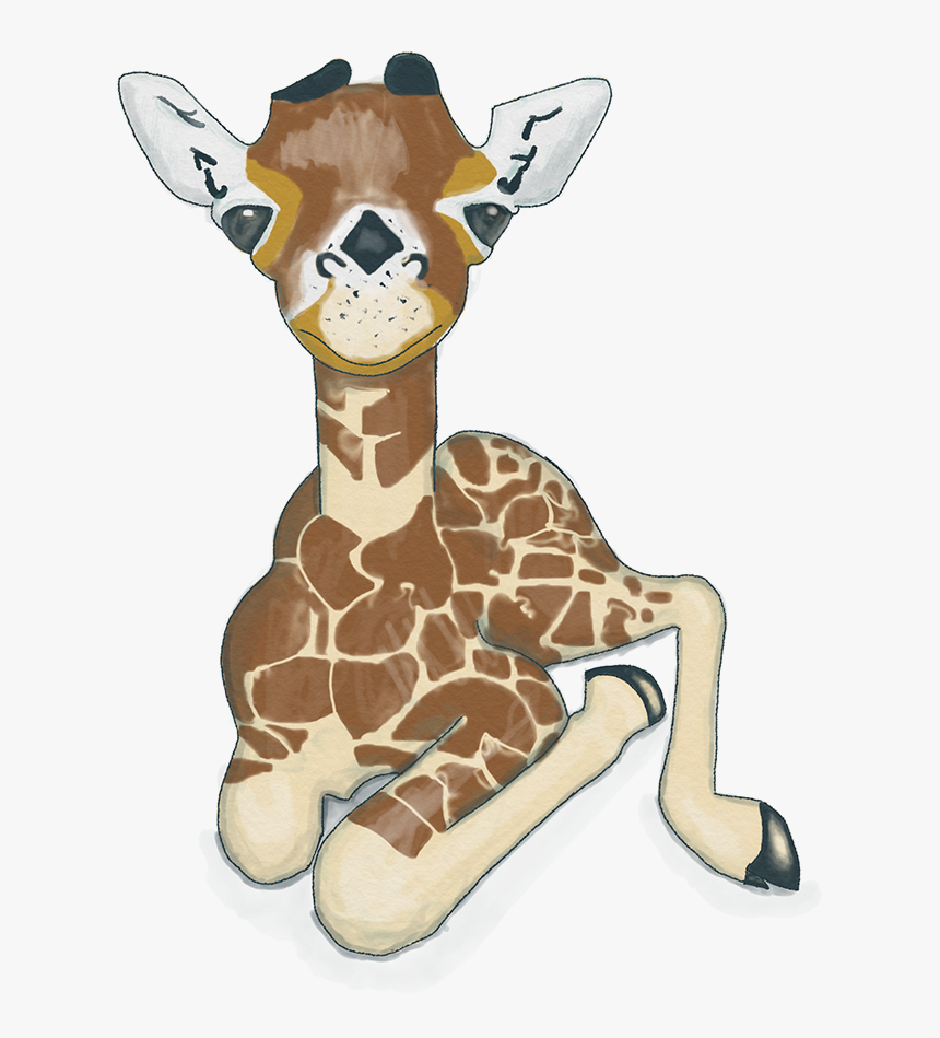 Giraffidae, HD Png Download