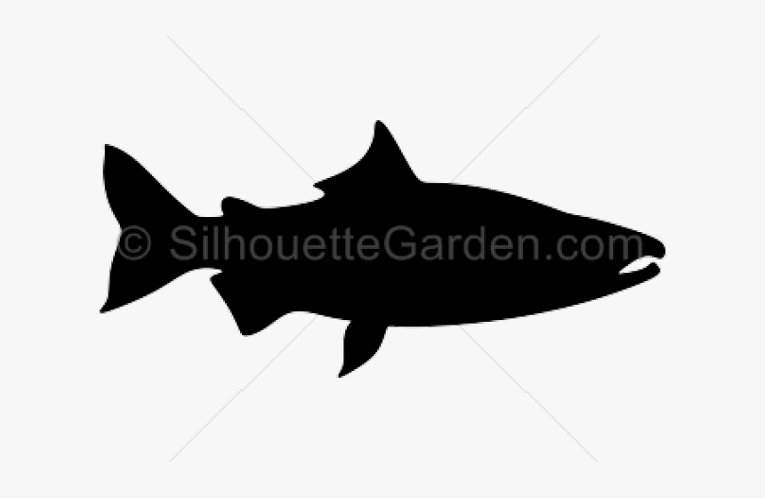 Salmon Clipart Knowledge - Life Quotes, HD Png Download