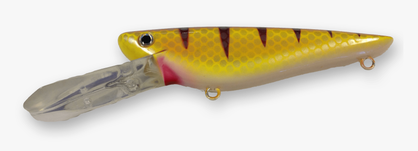 Walleye , Png Download - Trout, Transparent Png