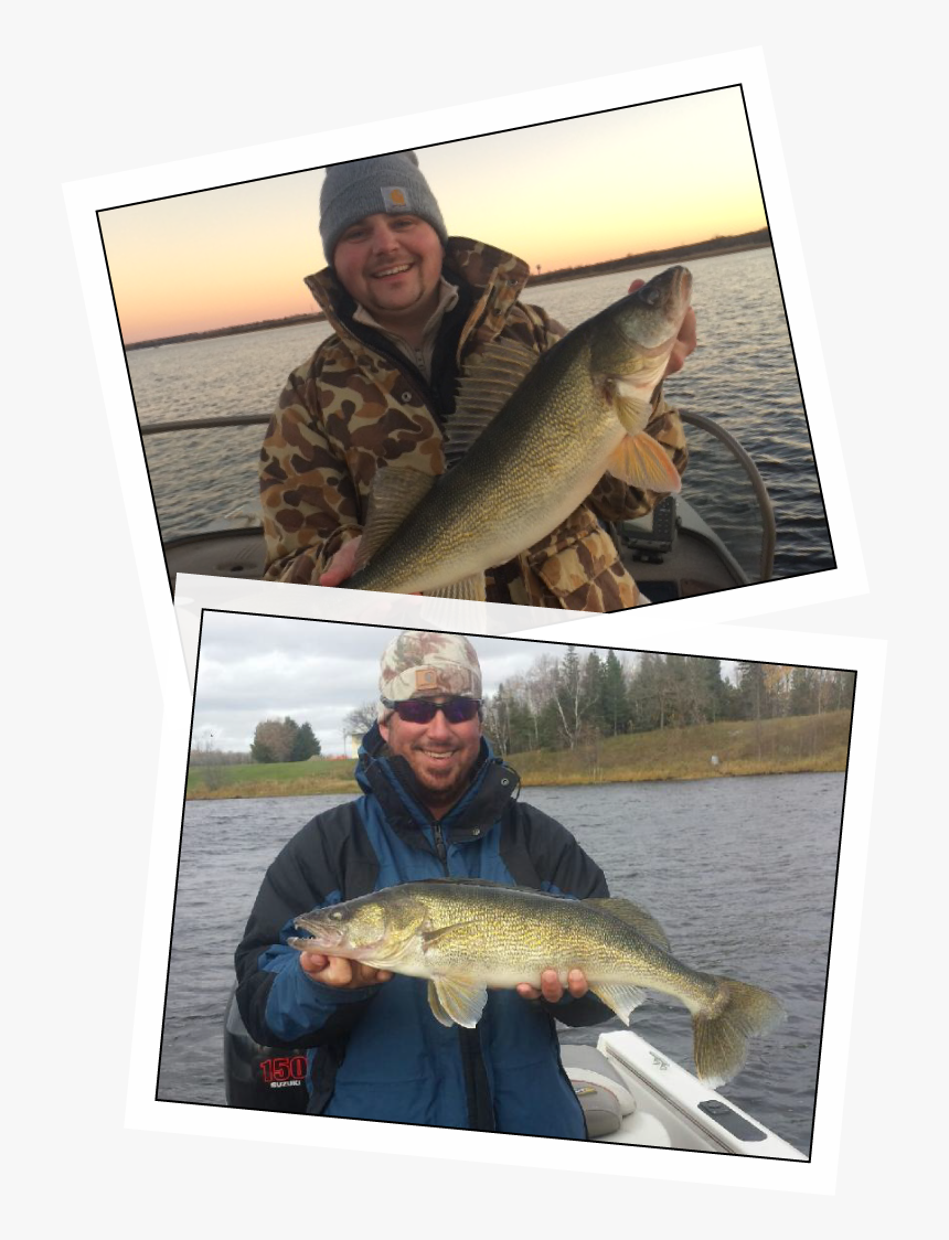 Carp, HD Png Download