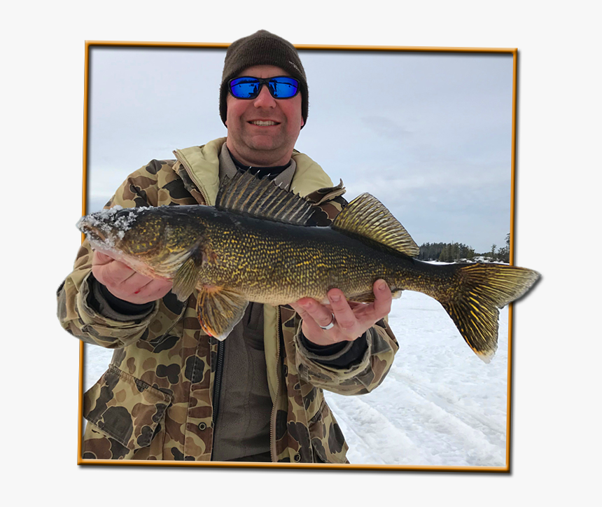 Walleye - Bass, HD Png Download