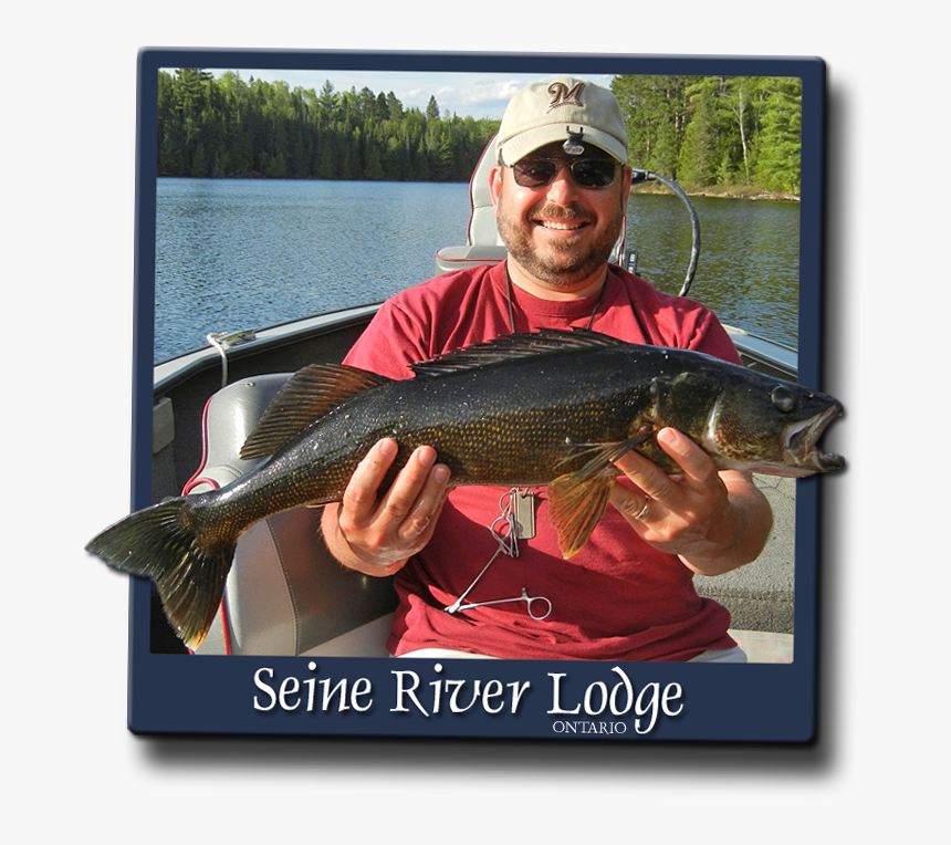 Pull Fish Out Of Water, HD Png Download