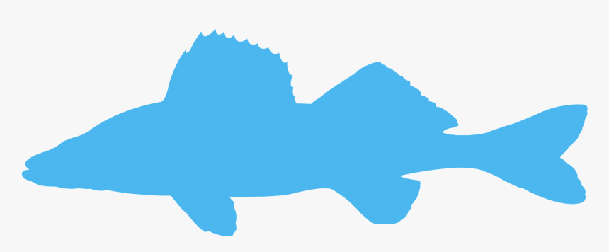 Transparent Walleye Fish Clip Art, HD Png Download