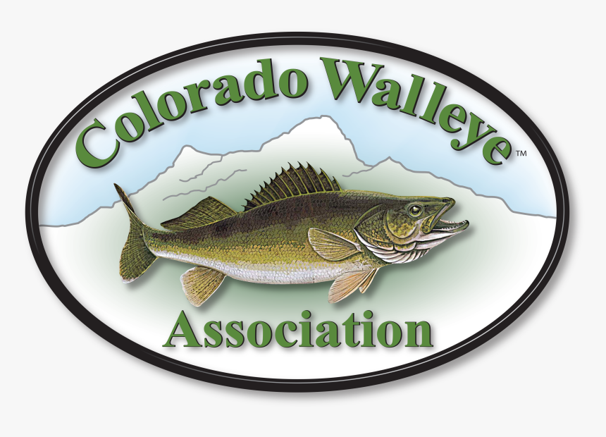 Walleye, HD Png Download