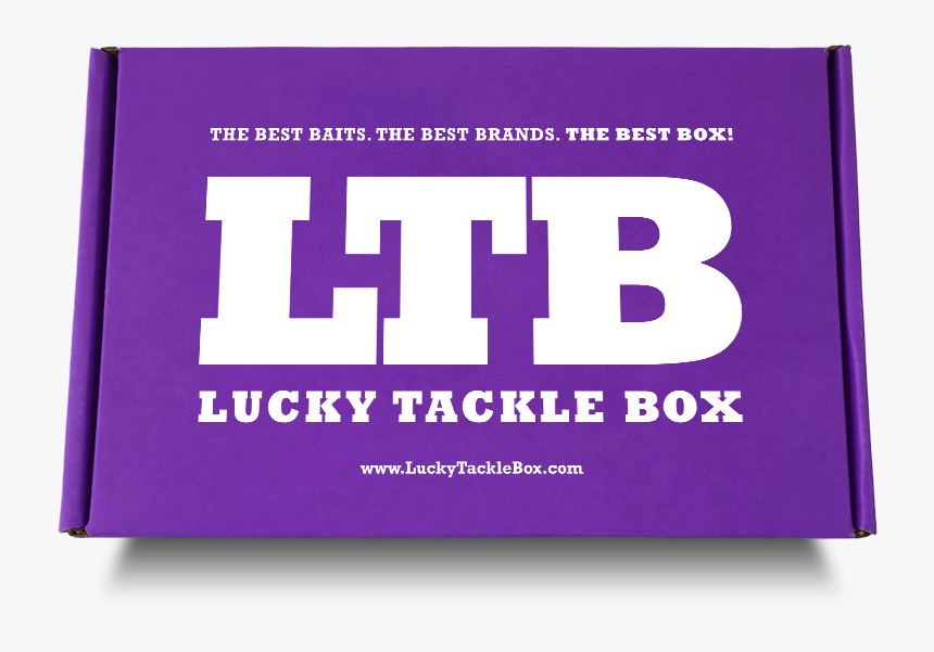 Daryl Dixon, HD Png Download