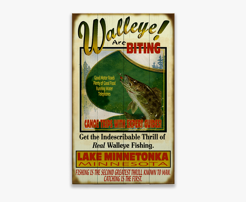 Trout, HD Png Download