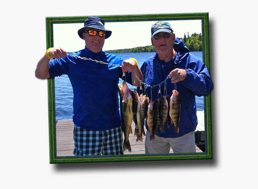 Perch - Pull Fish Out Of Water, HD Png Download