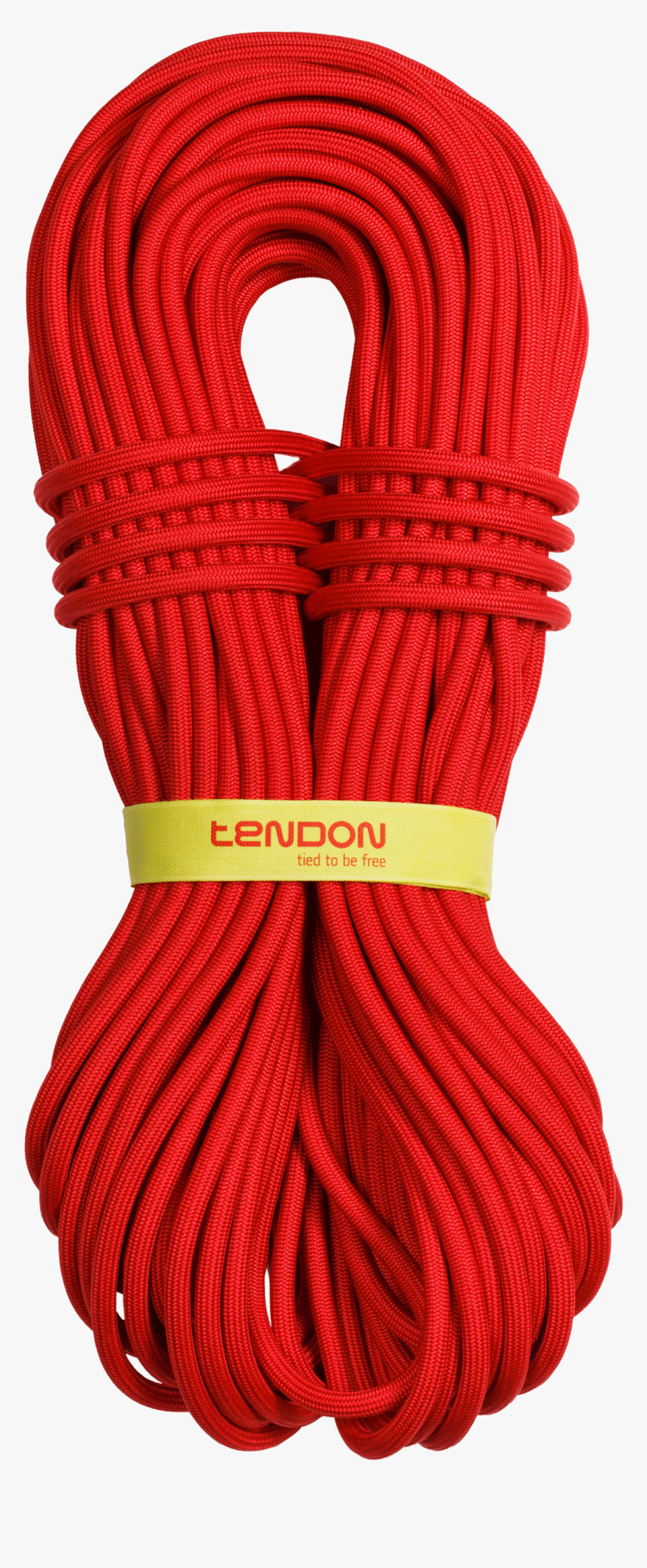 Tendon Master Pro - Dynamic Rope, HD Png Download