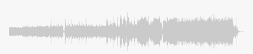 Pine, HD Png Download