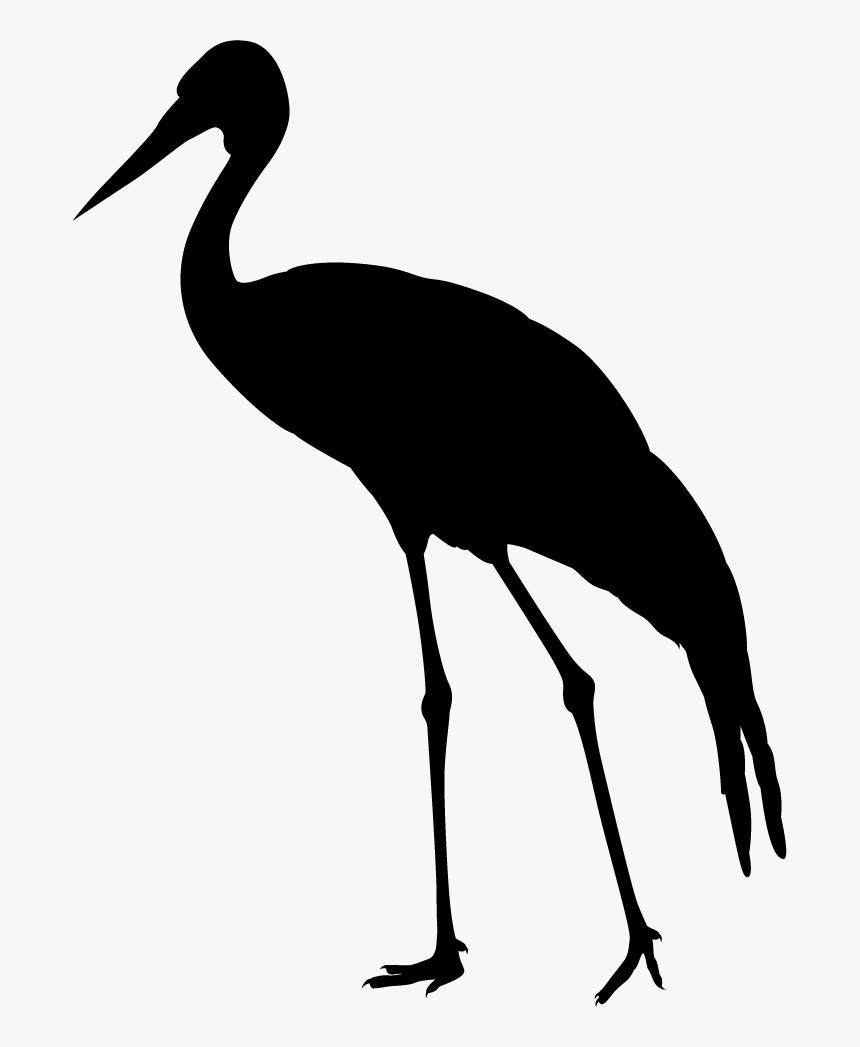 Ciconiiformes, HD Png Download