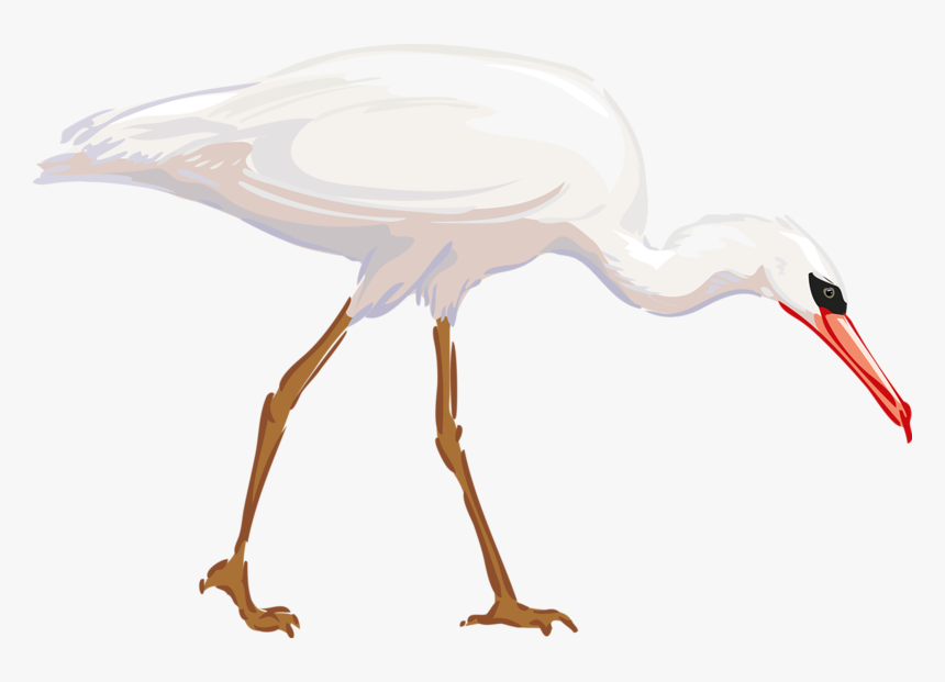 Clipart Animals Crane Crane Bird Hd Clipart Hd Png Download