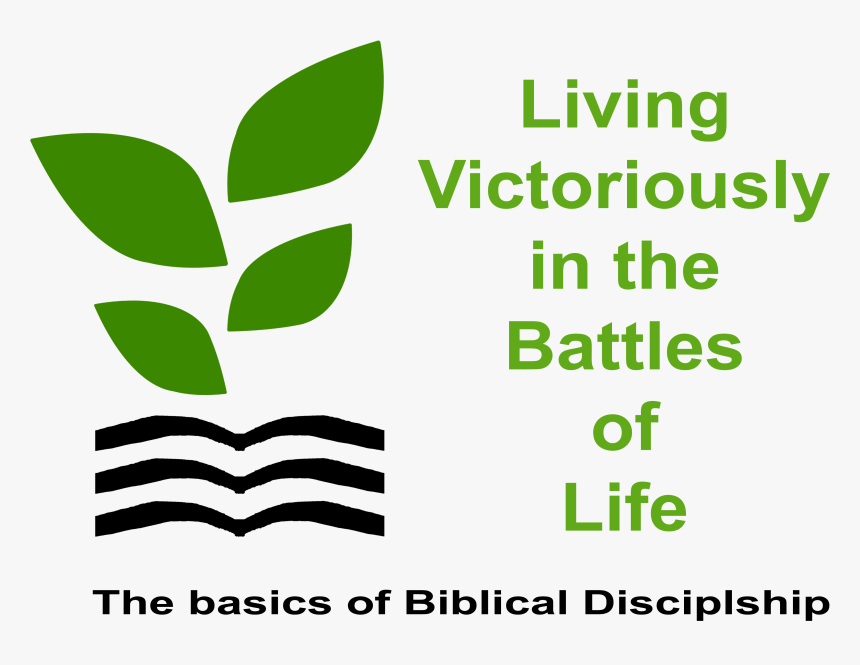 Transparent Sunday School Png - Mattheis Borg, Png Download