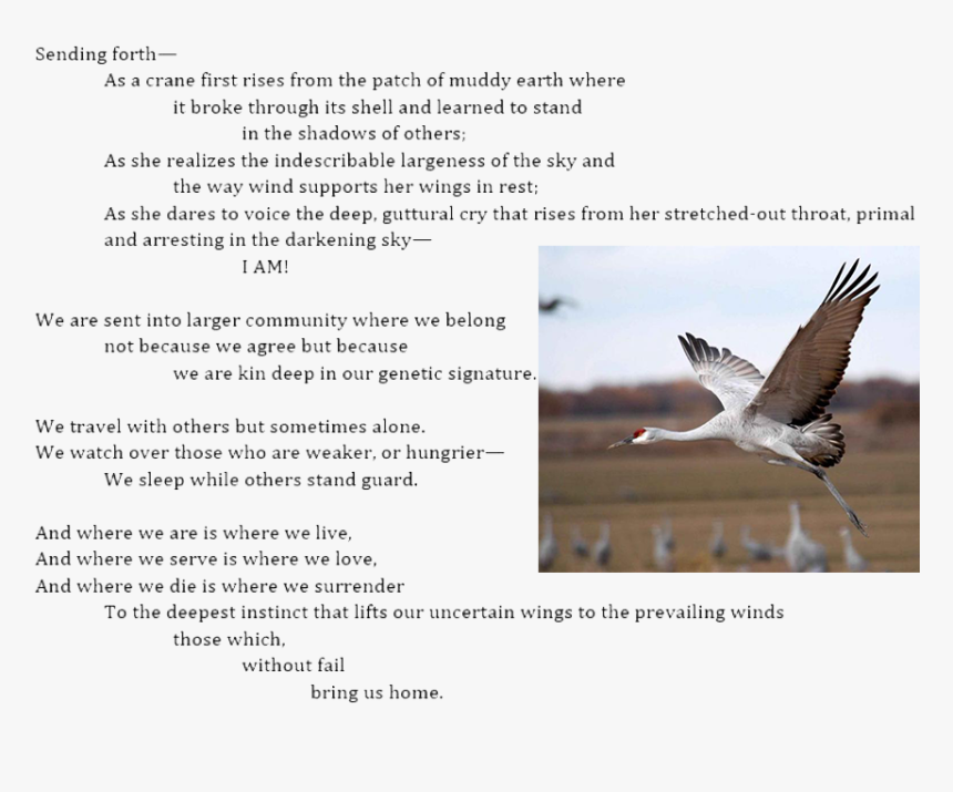 Sending Poem Carolyn Crane, HD Png Download