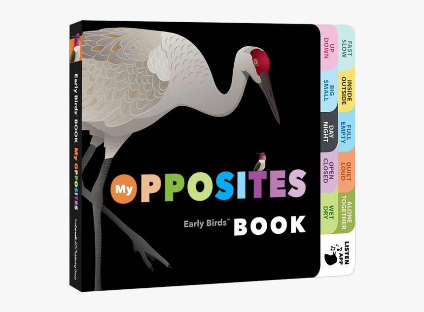 Ciconiiformes, HD Png Download