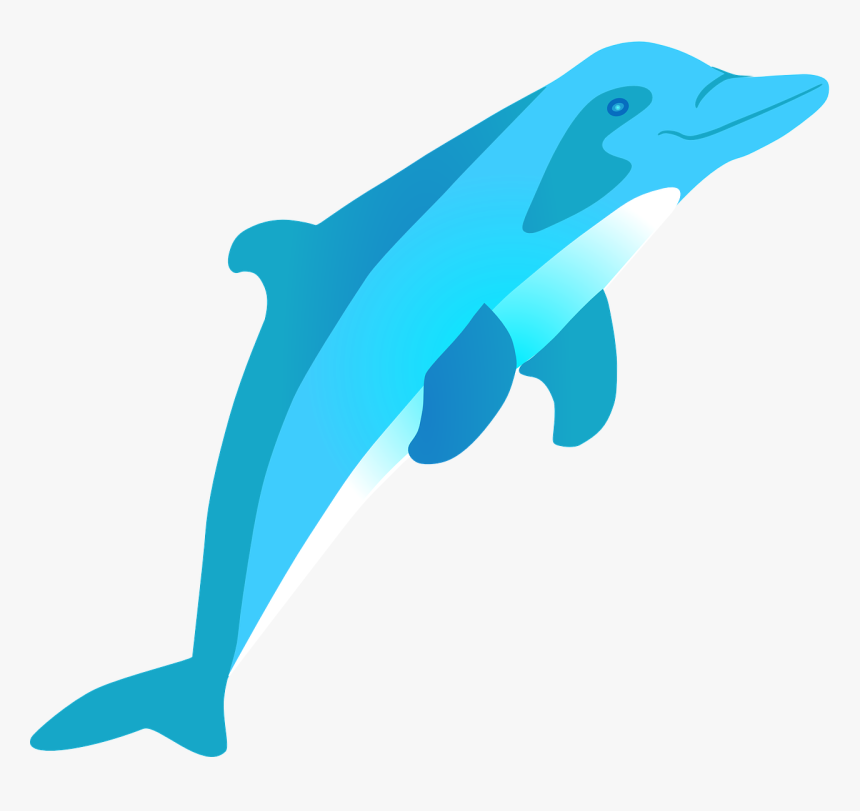 Cartoon Dolphin Jumping Out Of Water, HD Png Download