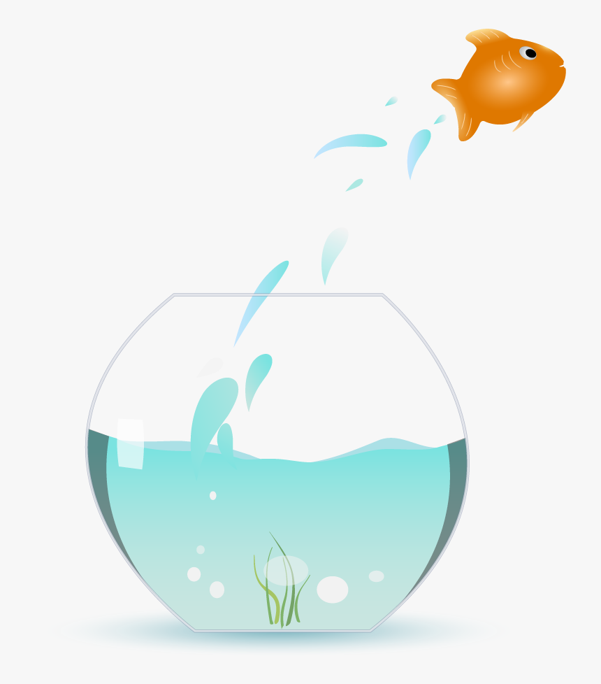 Fish Jumping Out Of Bowl, HD Png Download