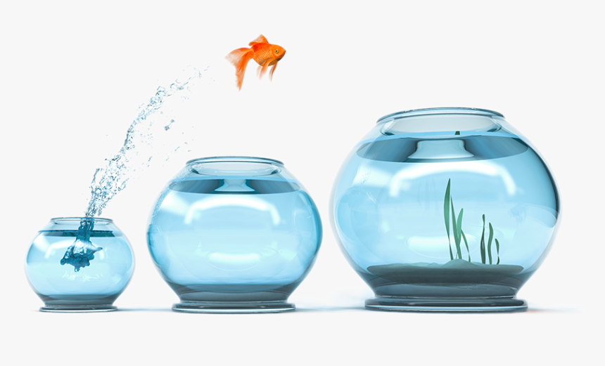 People Oriented, HD Png Download