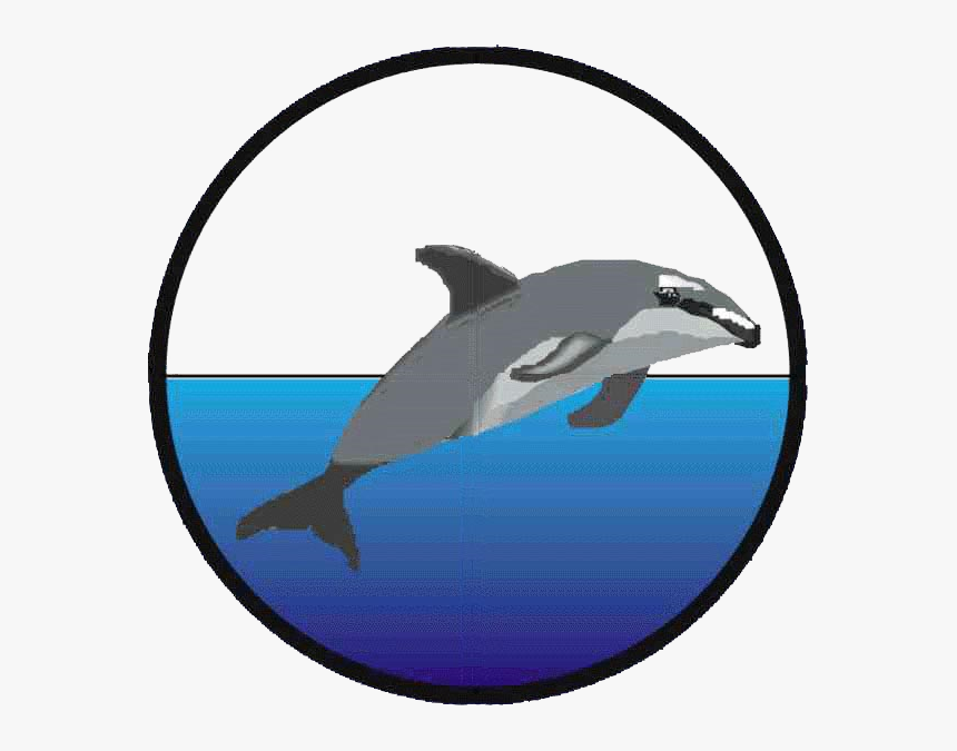 Wholphin, HD Png Download