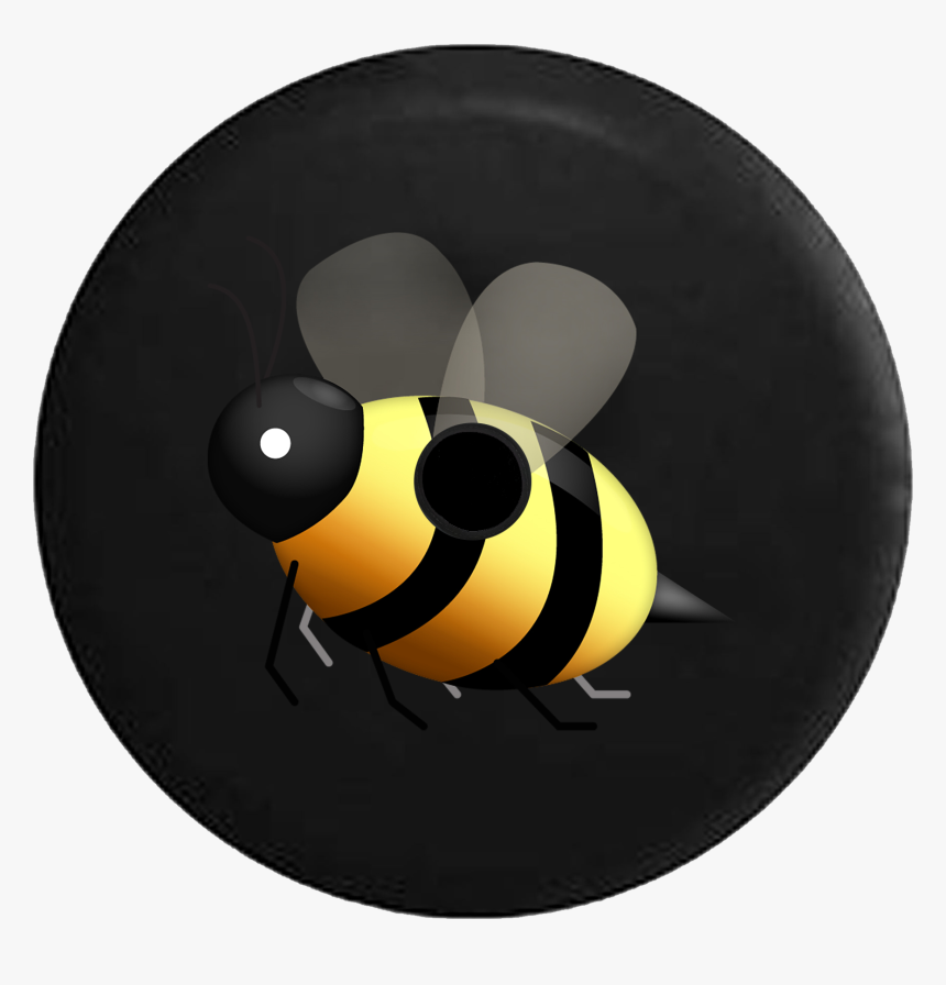 Bass, HD Png Download