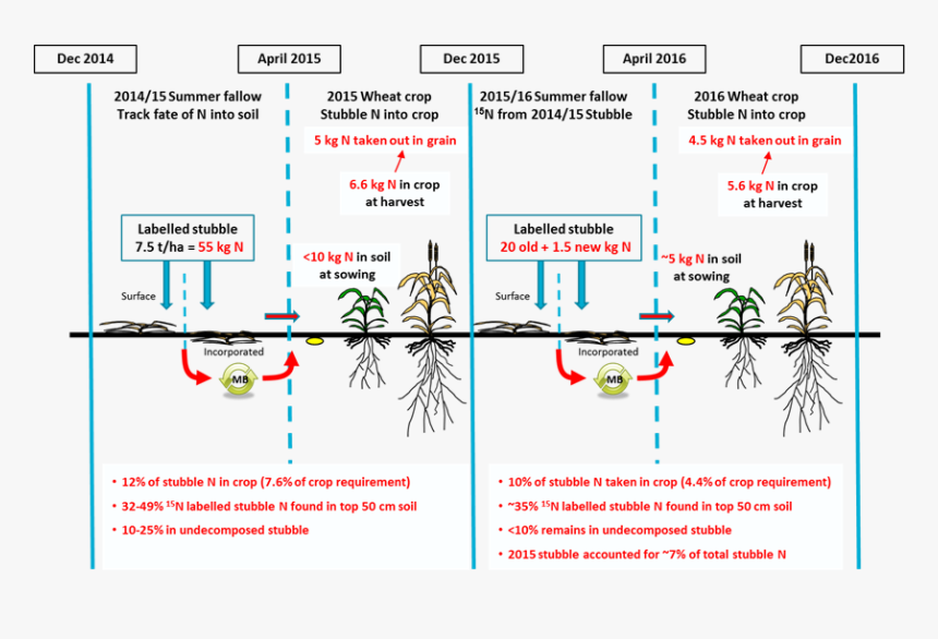 Figure 2 Is An Infographic Depicting The Fate Of The, HD Png Download
