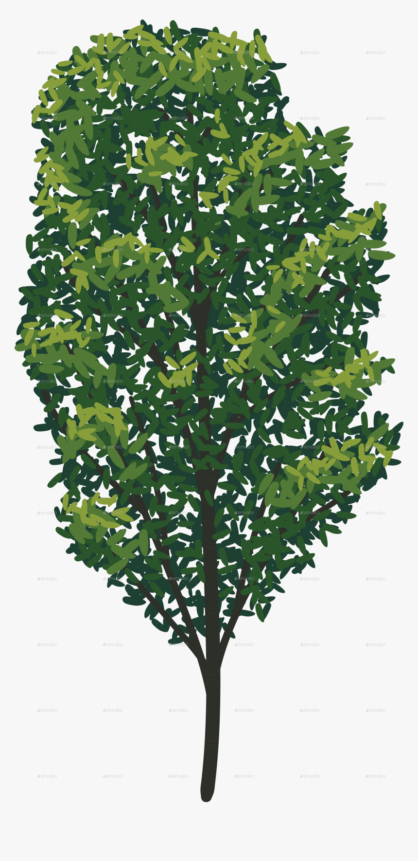 Tree 15 No Stroke - American Holly, HD Png Download