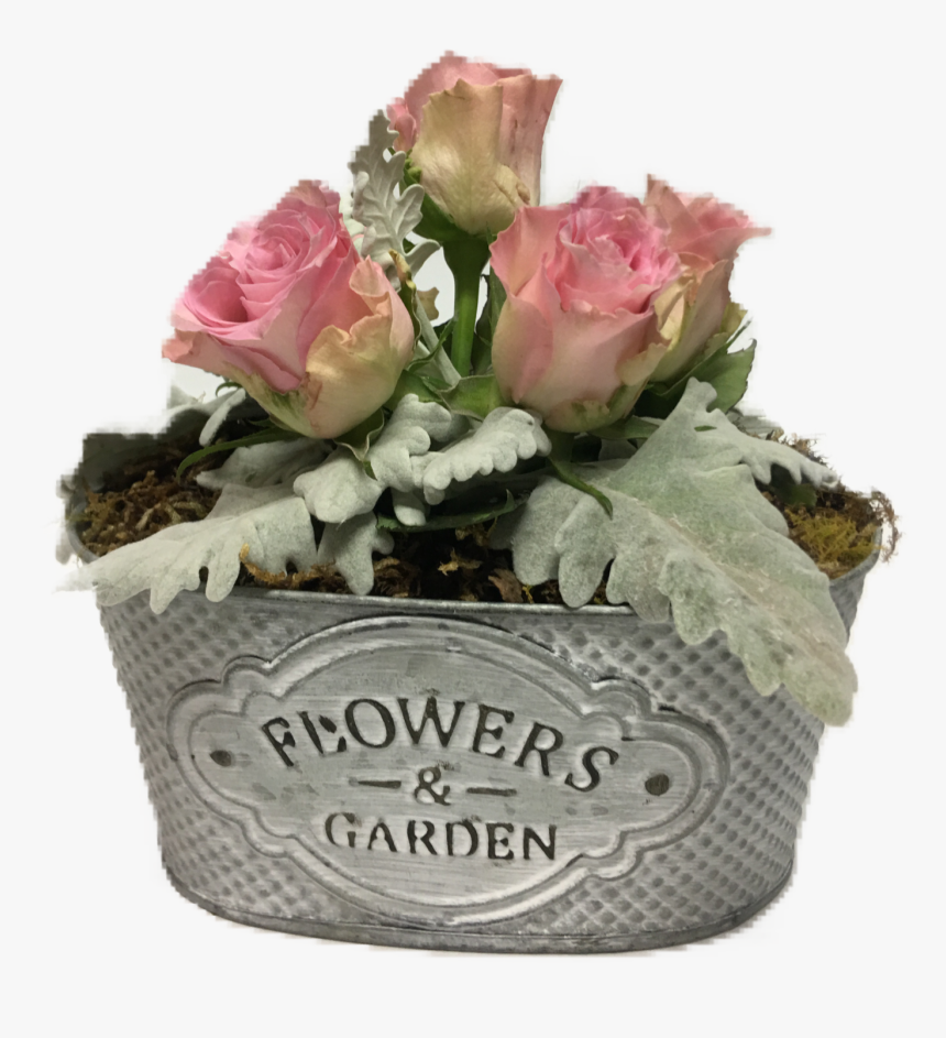 Transparent Mason Jar Flowers Png - Hybrid Tea Rose, Png Download