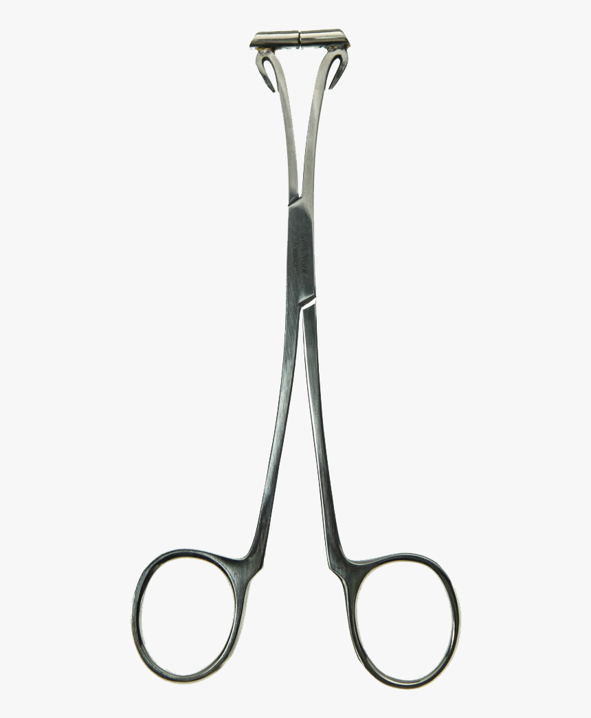 Tool, HD Png Download