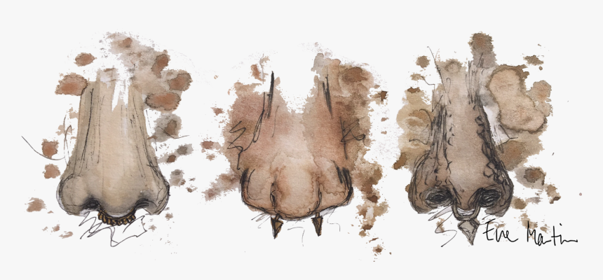 Visual Arts, HD Png Download