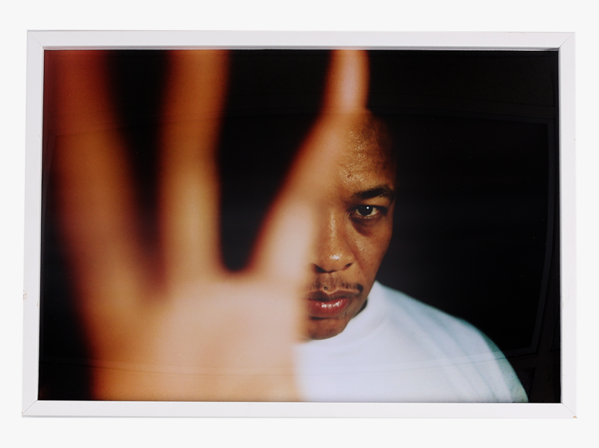 Cat Image - Human, HD Png Download