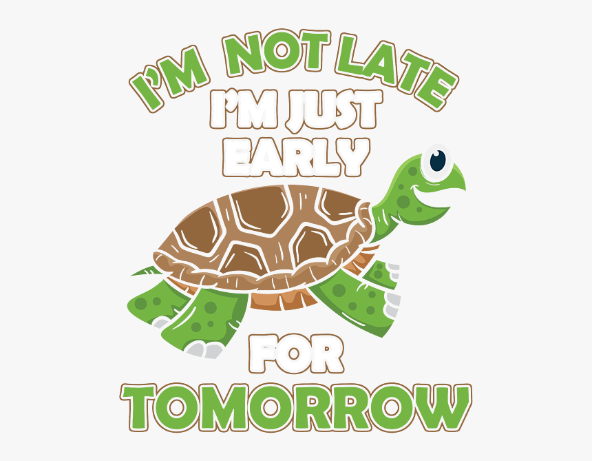 Tortoise, HD Png Download