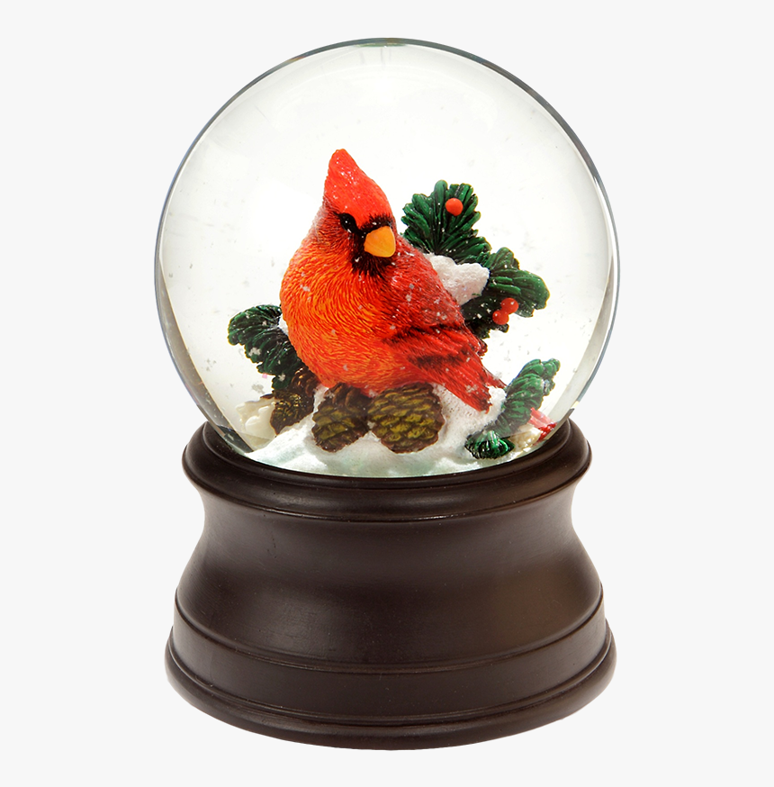 Cardinal Snow Globe 
 Class - Snow Globe, HD Png Download