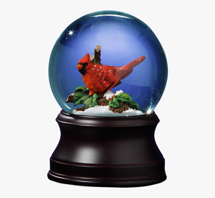 Holiday Cardinal Snow Globe 
 Class - Okapi, HD Png Download