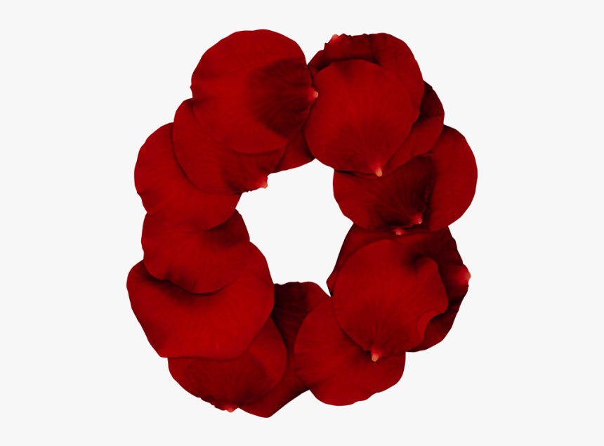Rose Red Font - Petal, HD Png Download