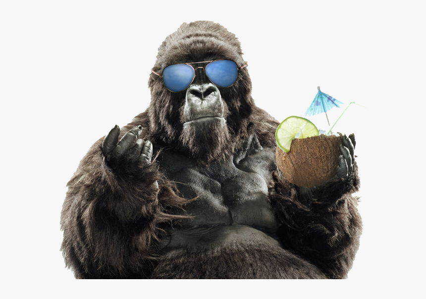 Summer Sunglasses Primate Vacation Gorilla Western - Fondos De Pantalla Hd Gorilas, HD Png Download