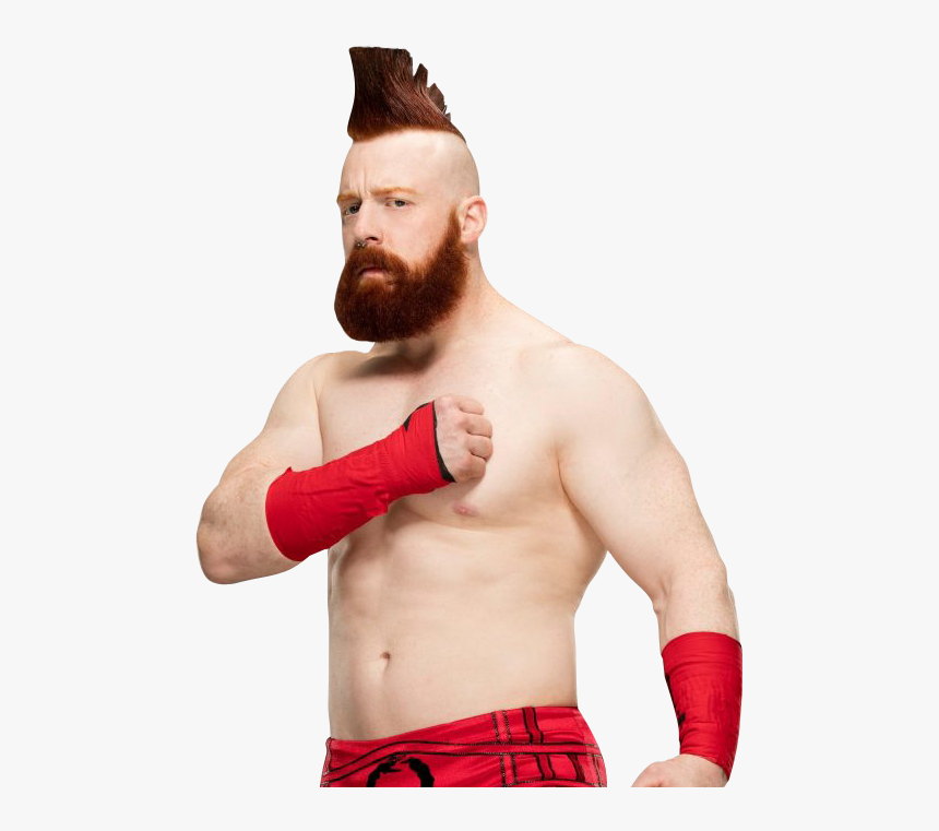 Sheamus Png Pic - Wwe Sheamus Png, Transparent Png