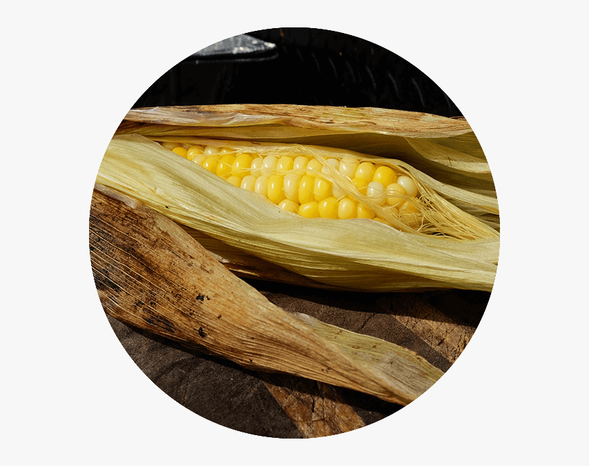 Corn On The Cob - Corn Kernels, HD Png Download
