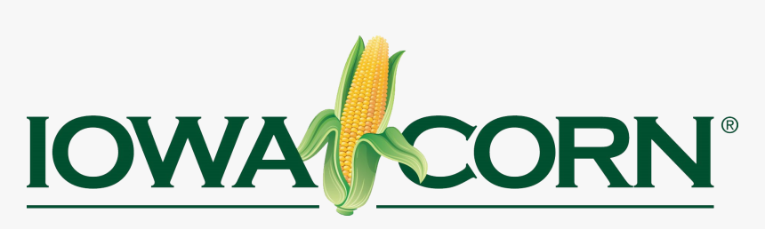 Scrapbooking, HD Png Download