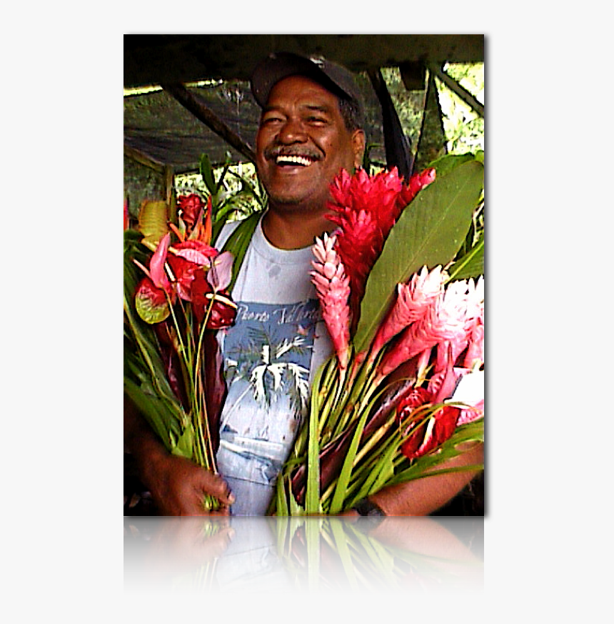 Red Ginger, HD Png Download