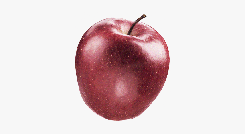 Ryuk Apple Photography Fotolia - Mcintosh, HD Png Download